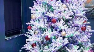 Cory Chase - Merry Anal Christmas