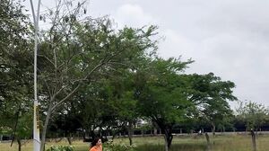 Thalia And Felipe - Reunion with Thalía Restrepo Ends in a Delicious Hardcore Fuck in Public with Semen in her Mouth