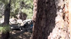 CaracamiVIP - OnlyFans #71