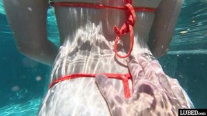 Lubed - Gracey Fox - Lubed Summer