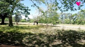 Katrina Van - All the Sperm in the Throat