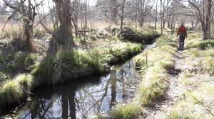 Katrina Van - Retro Blonde Swallowing My Dick Whole, Vintage Style