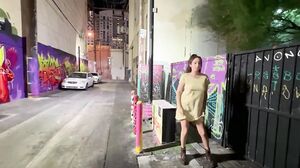 Nicole Niagara - Sin Citys Risque Revelation Alleyway