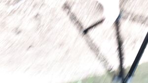 freckledRED - Redhead, Real Orgasm, Really Public River