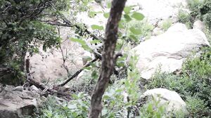 freckledRED - Risky Public Dildo Fuck In A Furry Onsie freckledRED