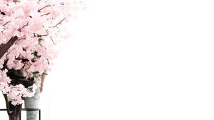 NetVideoGirls - Naomi