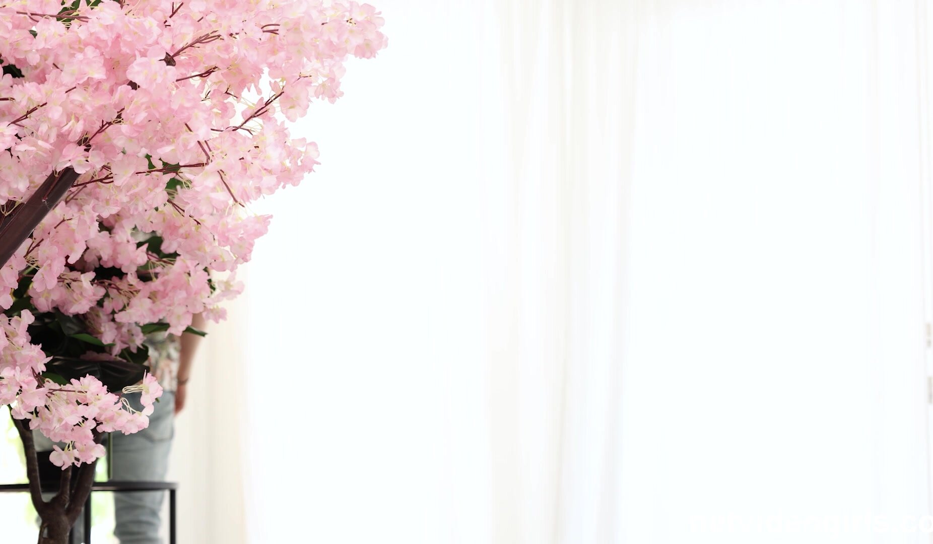 NetVideoGirls - Naomi