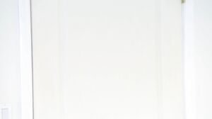 The Sex Crazed Lesbians