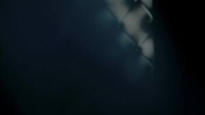 SinfulXXX - Raw but Tender - Leya Desantis