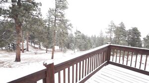 Kali Roses winter escape