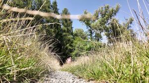 Watch4Beauty - Sally Hunter - Carousel In The Forest