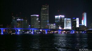 Misty Stone - Not Airplane Xxx Cockpit Cuties Scn4