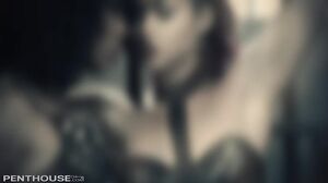 Misty Stone - Pet Of The Month December 2014