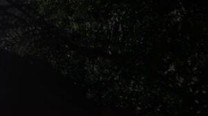 Hunt4K - Picnic at Hanging Cock - Chloe Heart