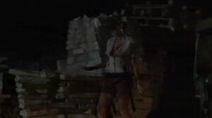 Sarah Twain - Section Disciplinaire