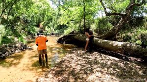 Maasaiwarriorbbc, Tribalbbc & Poppichulo34)