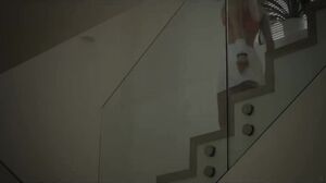 Lets Doe It - Xchimera 10717 - Nesty