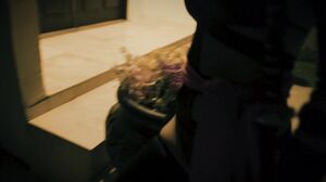 Tyler Nixon Lulu Chu - Ninja's Trick