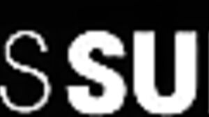 Christmas Surprise Little Caprice