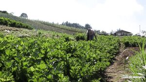 Andreina De Luxe Logan Salamanca - Amazing Colombian Girl Enjoys Hard Sex