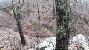 LenaPaul - One With Nature