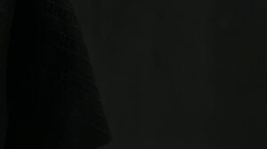 Lily Labeau, Lily Carter - Wasteland Part - 1