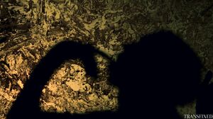 Aiden Ashley, Ts Foxxy - Muses in HD