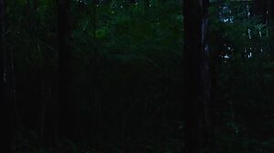 EBWH-277 It's a body that will soon be able to make a baby. Let's all eat it. A young girl who was raised in secret in a village where there are no women is the ultimate sex toy for the village men. Shitara Yuuhi