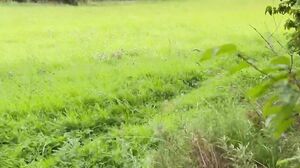 Little Red Doll - OnlyFans #04