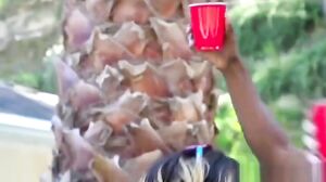 Blown By An Old Flame