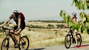 Analized - Stellacox Gapinganal