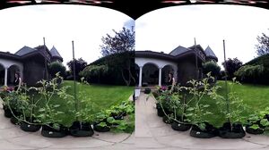 Mia Evans - Picking Cherries In Pécs