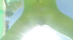 Psychology Of A Woman