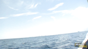 Teen Hitchhikers - Tessa Taylor