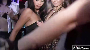 Party babes know how to suck cock