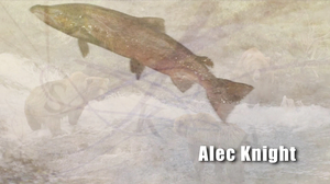 Lisa ann - Whos Nailin Paylin