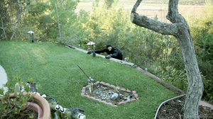 Cum Robbery - Kagney Linn Karter Mick Blue