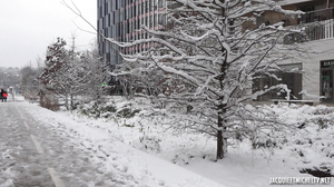 Laura, 41ans, responsable des achats