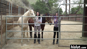 Nothing pleases them like masturbating together