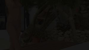 XPORN - Transcendence (Silvie)