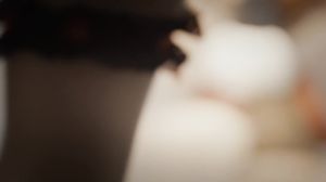 XPORN - Go Down on me (The Red Fox)