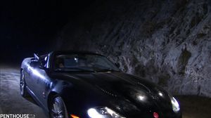 Penthouse - Call Girl Coeds 2