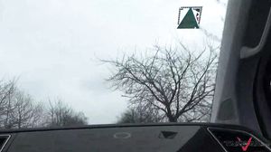 Horny and chesty lady with passion