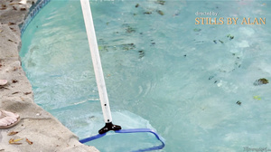 Let Us Teach You Ava Addams Simone Sonay Kendall