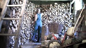 Katerina Hartlova - Collecting Firewood