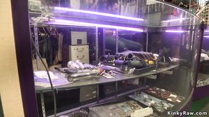 Sex tourist throat banged in public bar