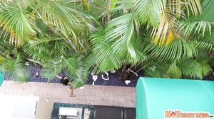 Vienna Black - She's A Vandal