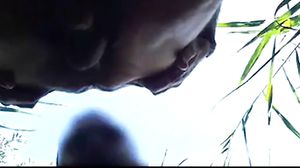 Grandpa ,Opa , Older, Mature