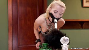 Master of house anal fucks slaves