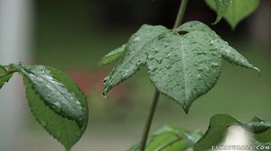 21EroticAnal - Anita Bellini - Meetup